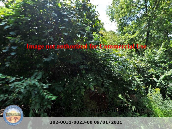 Photo 09/01/2021